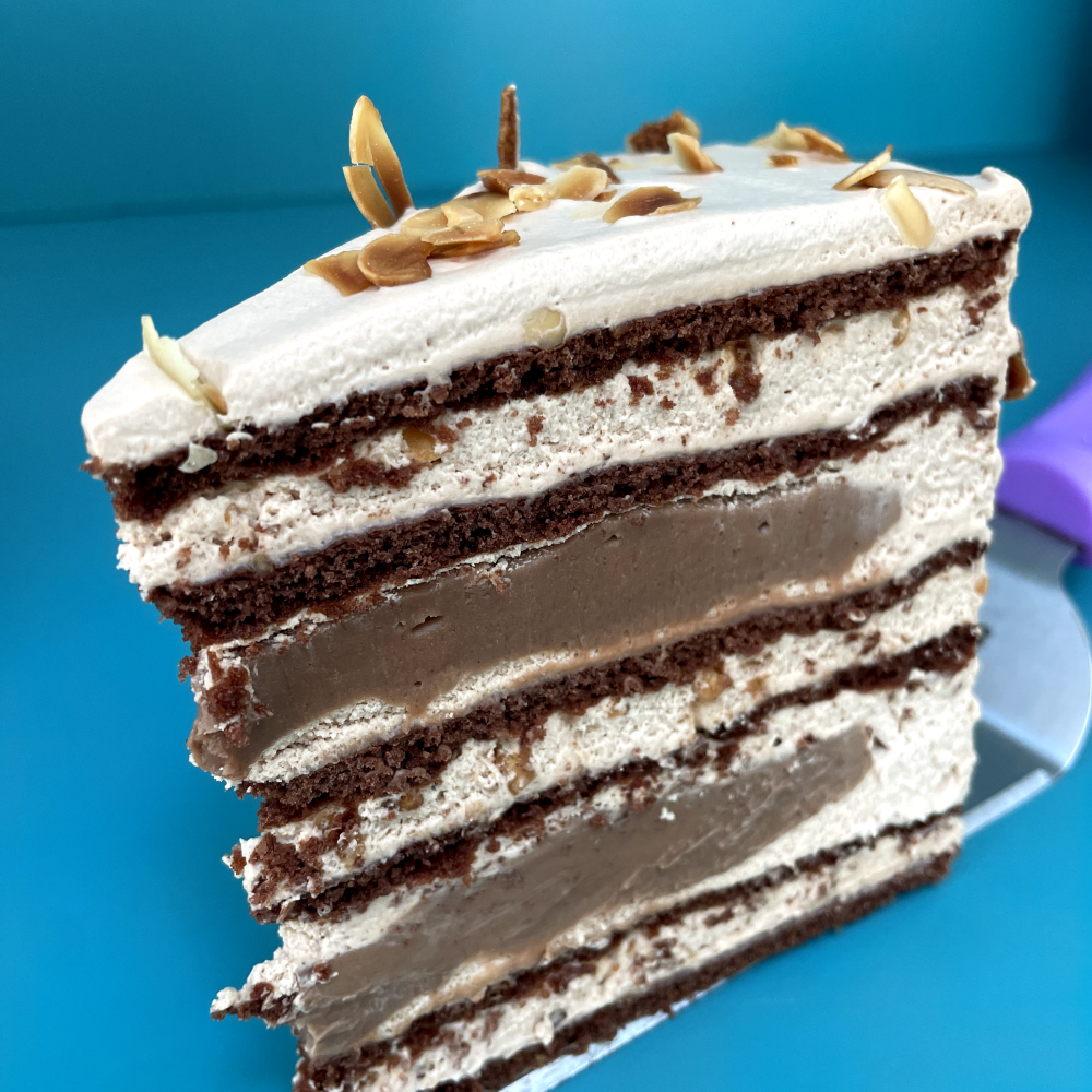 22.MADOVIK CU CIOCOLATA SI ALUNE