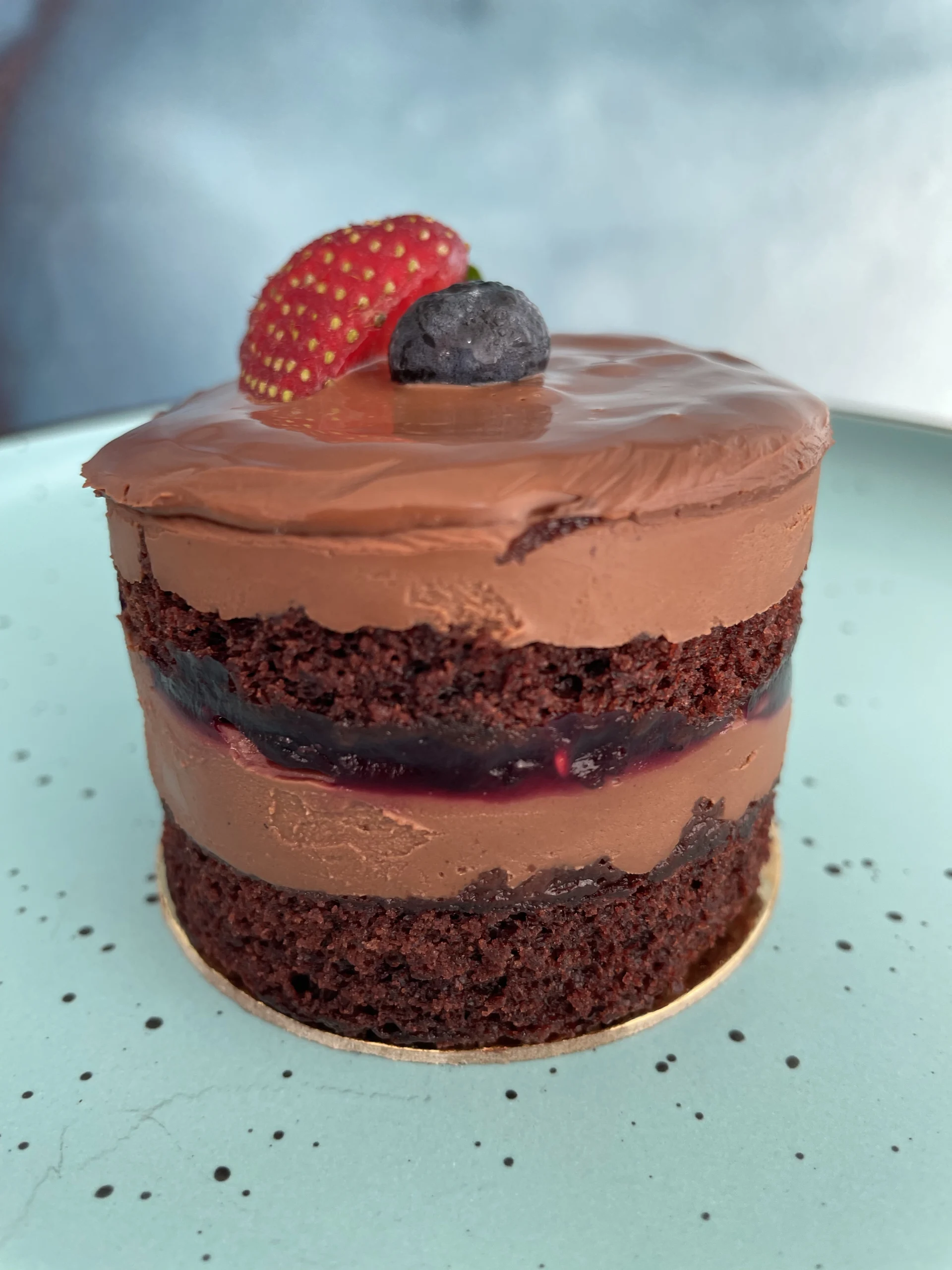 10. MT VEGAN CU FRUCTE DE PADURE2